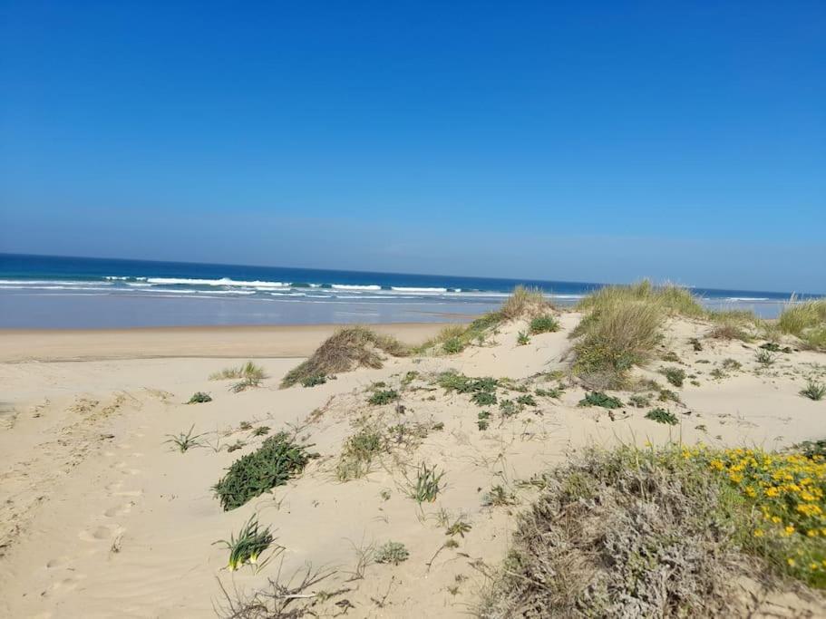 Apartamento Playa La Barrosa Чиклана де ла Фронтера Екстериор снимка